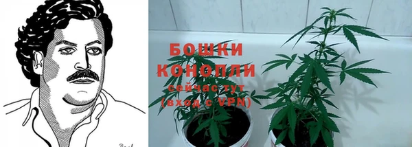 ГАЛЛЮЦИНОГЕННЫЕ ГРИБЫ Арсеньев