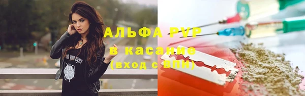 ГАЛЛЮЦИНОГЕННЫЕ ГРИБЫ Арсеньев