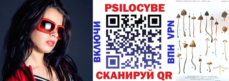мориарти официальный сайт Сарапул Галлюциногенные грибы Psilocybine cubensis